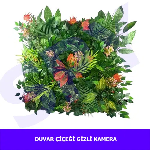 duvar-çiçeği-güvenlik-kamera