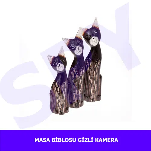 masa-biblosu-güvenlik-kamera