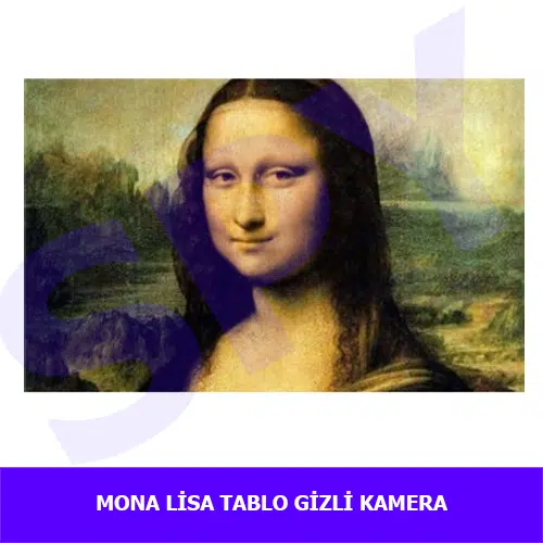 mona-lisa-tablo-güvenlik-kamera