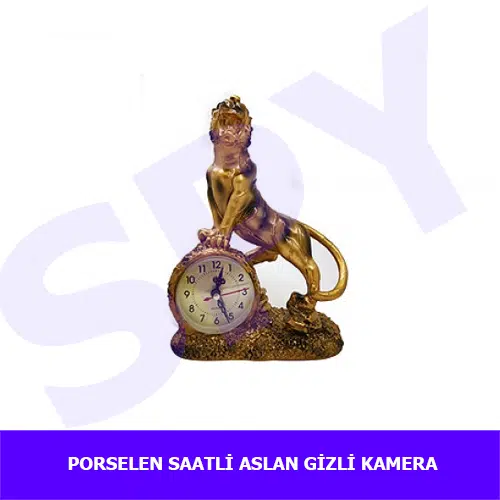 porselen-saatli-aslan-güvenlik-kamera