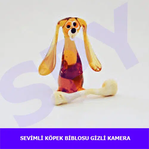 sevimli-köpek-biblosu-güvenlik-kamera